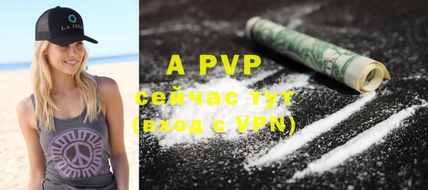 apvp Богданович