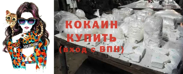трава Бородино